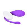 Ovetto Wireless Senza Fili