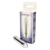 Mini Vibratore Argento