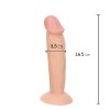 Dildo Realistico Liscio Enduro