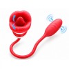 Lingua Vibrante + Vibratore