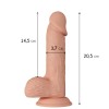 Dildo Realistico 20 cm